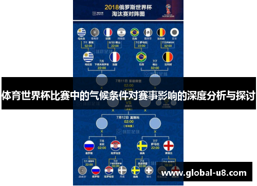 体育世界杯比赛中的气候条件对赛事影响的深度分析与探讨