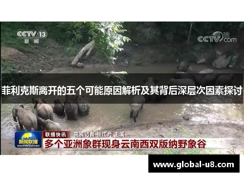 菲利克斯离开的五个可能原因解析及其背后深层次因素探讨