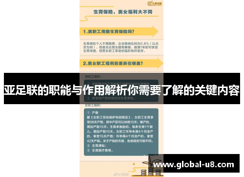 亚足联的职能与作用解析你需要了解的关键内容