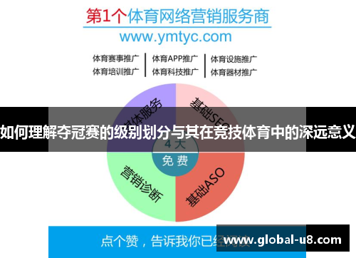 如何理解夺冠赛的级别划分与其在竞技体育中的深远意义