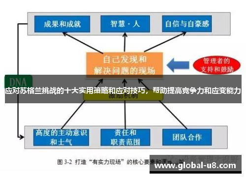 应对苏格兰挑战的十大实用策略和应对技巧，帮助提高竞争力和应变能力